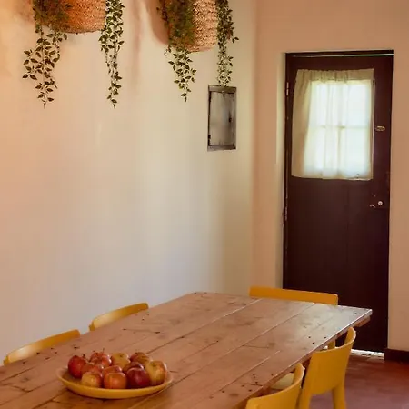 بيت ضيافة Balili Surf House 2*