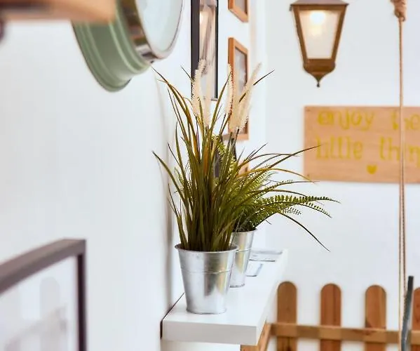 Balili Surf House Pensjonat