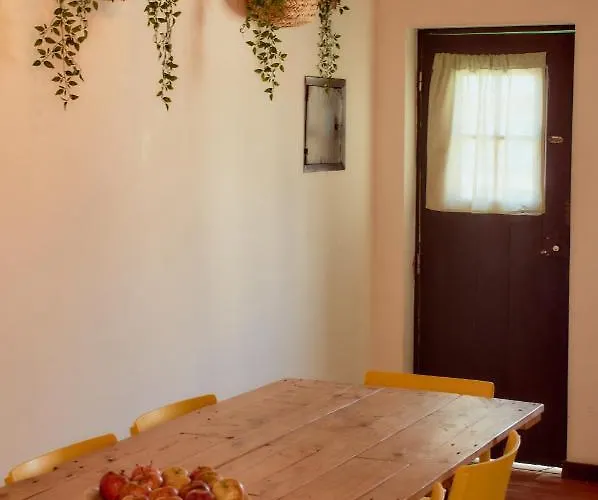 Pensjonat Balili Surf House 2*